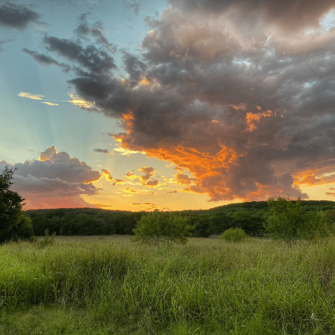 Best Realtor Wimberley TX