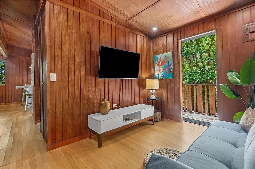 Cozy wooden living room with television