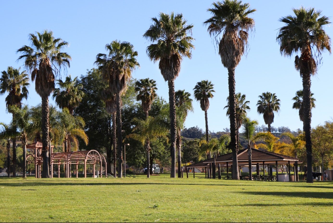 Lawn, palms and picnic facilities at Mission Oaks Park in Camarillo