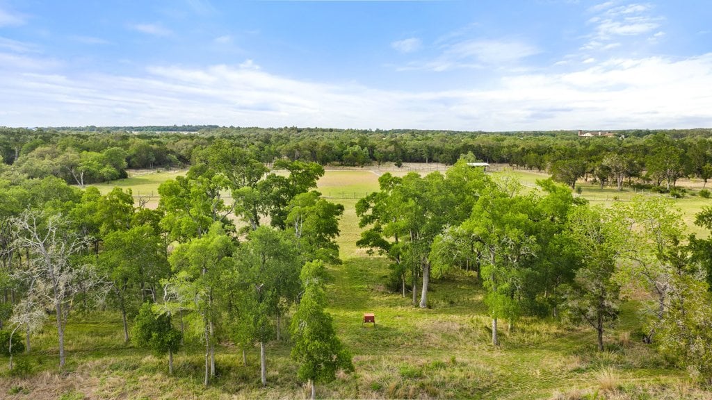 Horseman's Paradise in the heart of Dripping Springs
