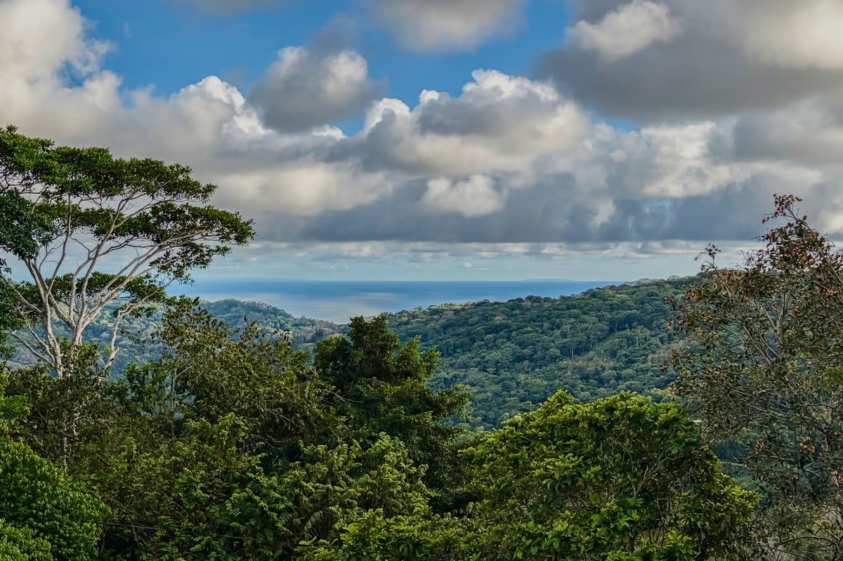 3.64 ACRES – 3 Bedroom Home With Expansive Ocean Views, Multiple Areas to Build, Public Road With Commercial Potential, 10min to the Beach!!