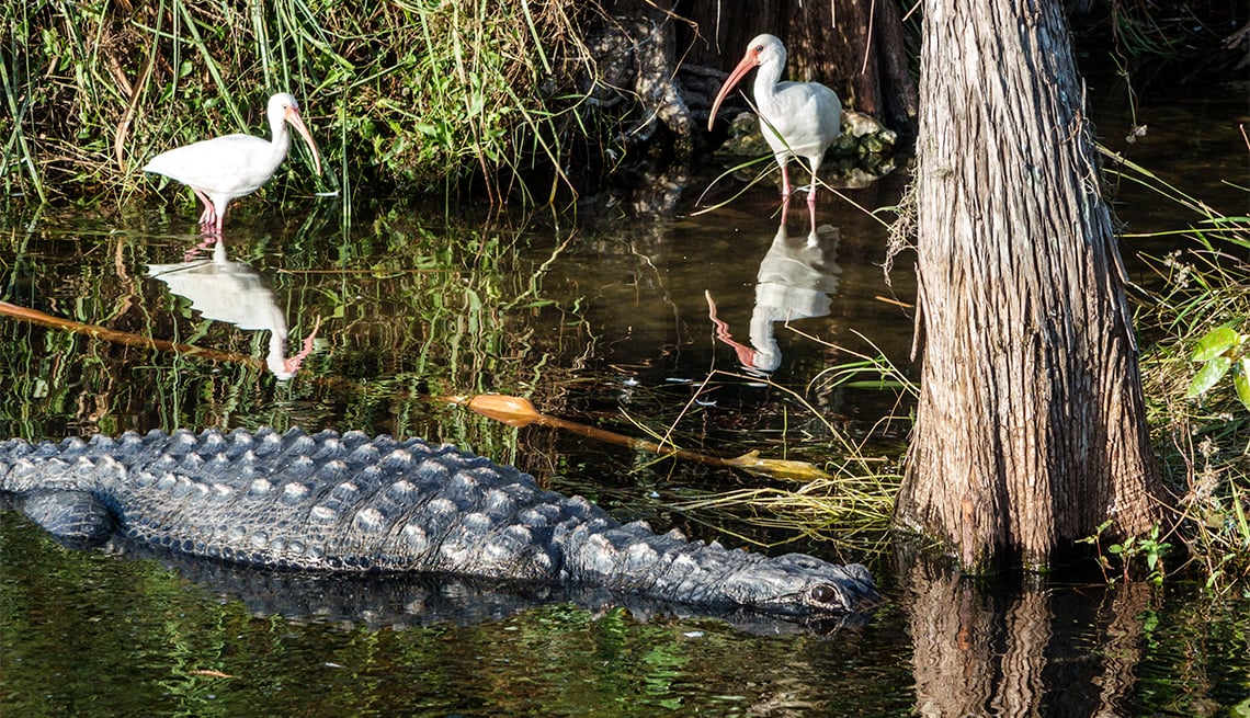 Discover Miami Like a Local: My Favorite Spots for Friends and Family
