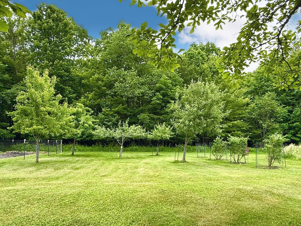 311 Jackson Road