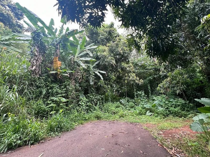 Carr 349 Km 1.01 Bo Quebrada Grande