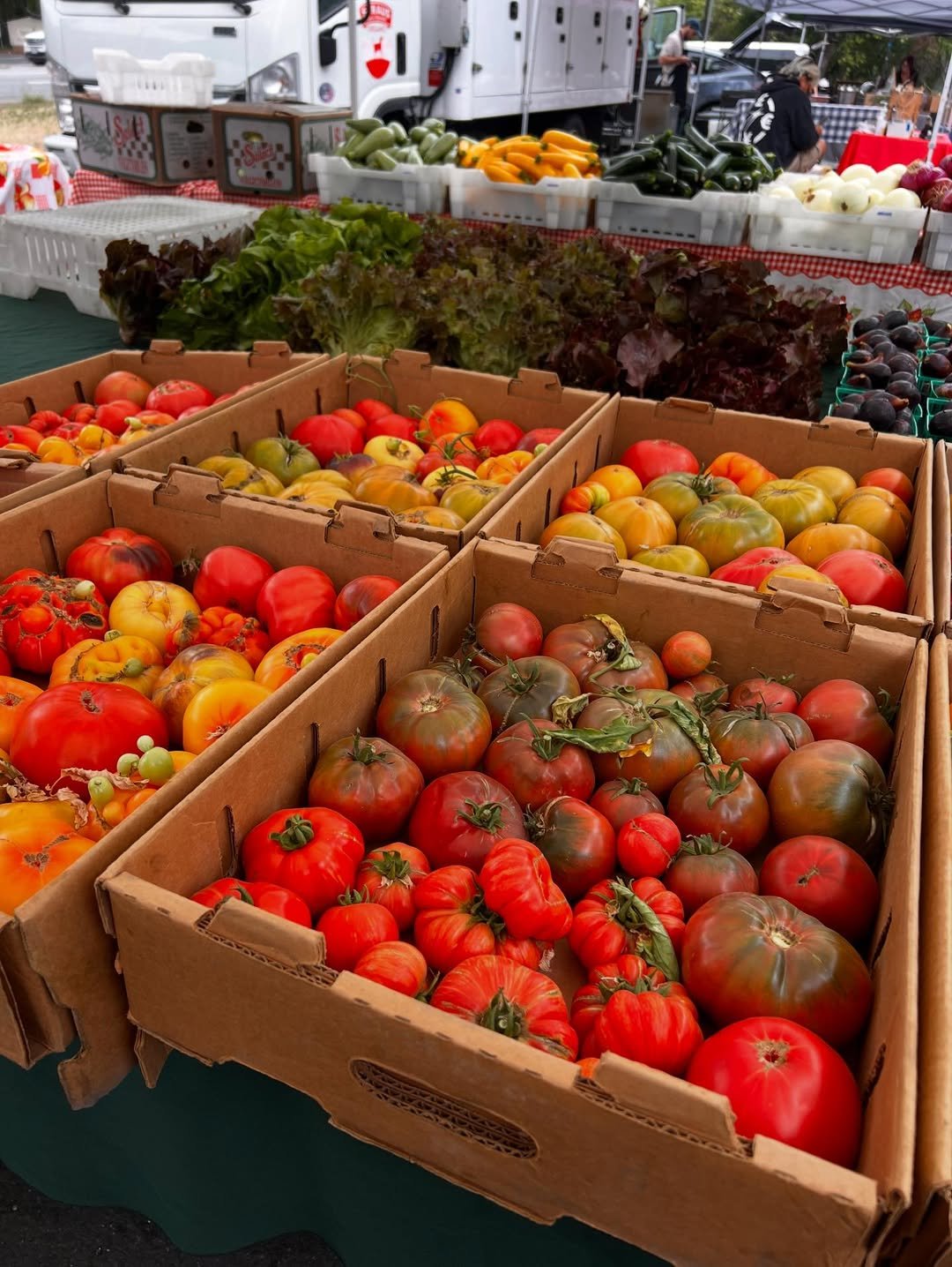 Fresh summer produce on display at Cotati Farmers Market in Sonoma County