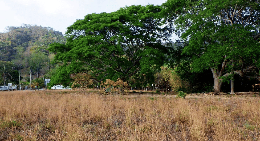 La Reserva Commercial Lot, Playa Camaronal / , Zapotal, Nandayure, Guanacaste