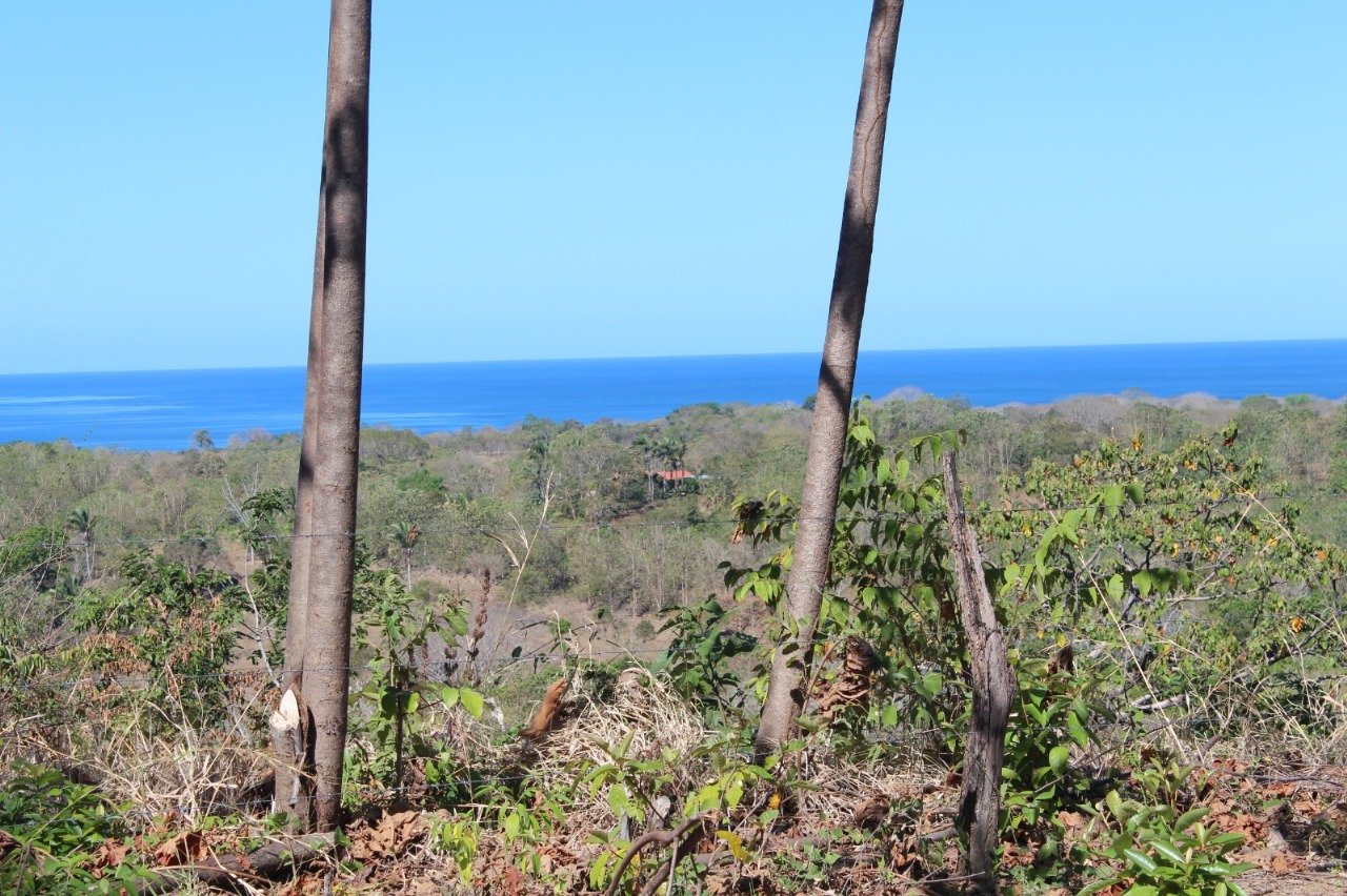 San Juanillo Farm | Large-Scale Ocean View Land with Investment Potential