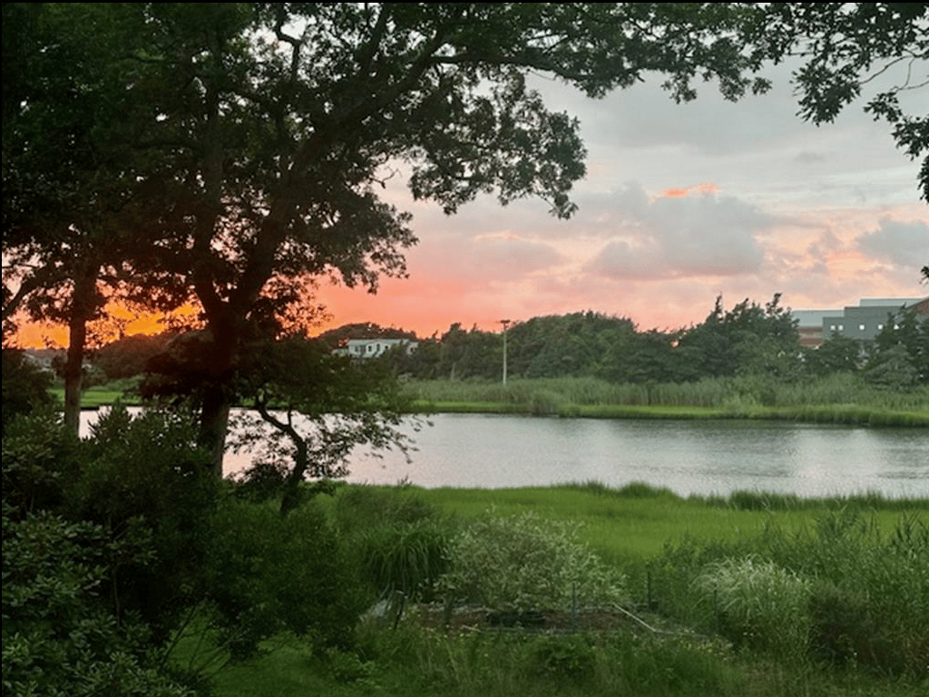 69 Brush Pond Road