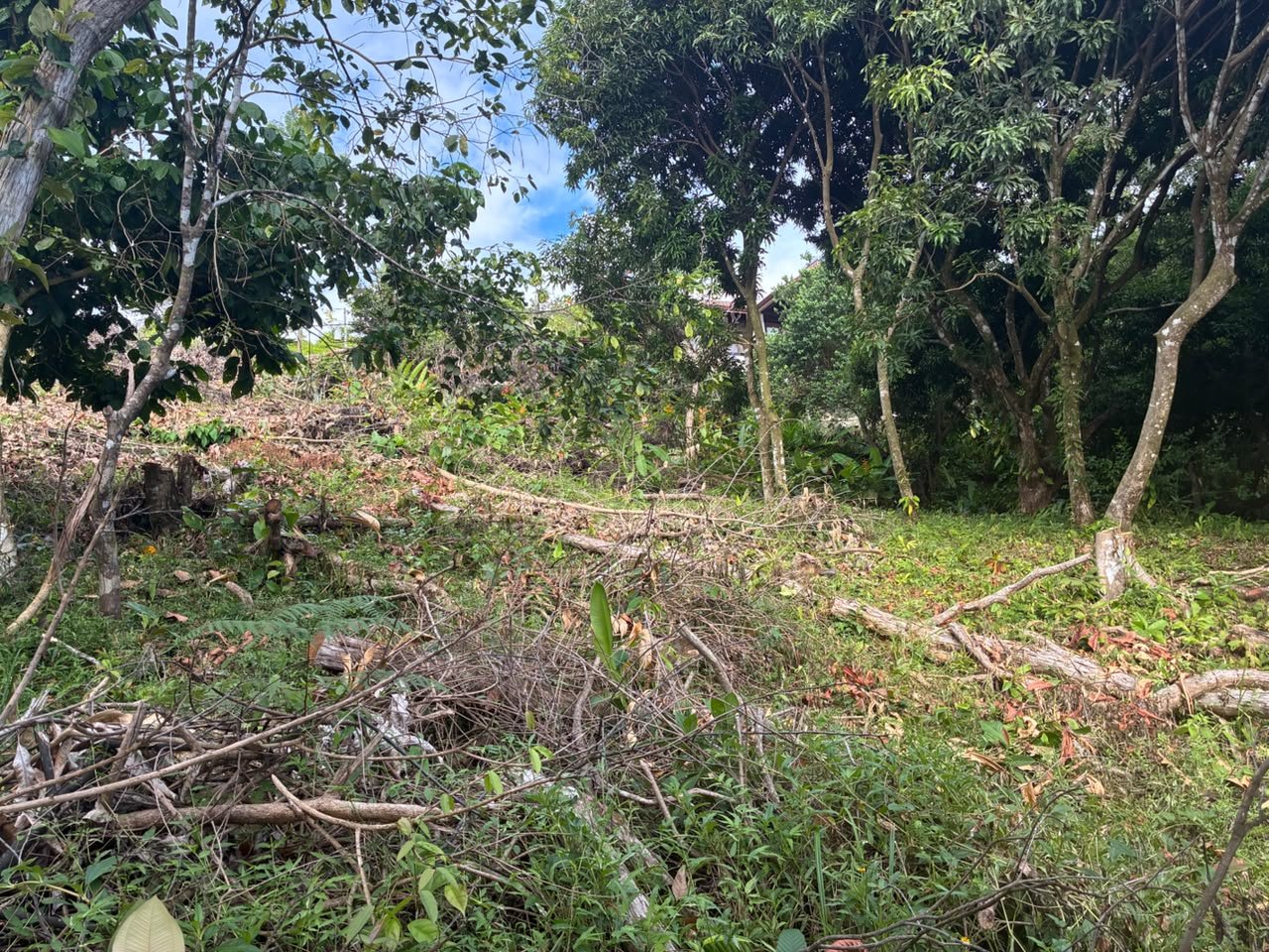 Spectacular Ocean View Lot in Ojochal Phase 9