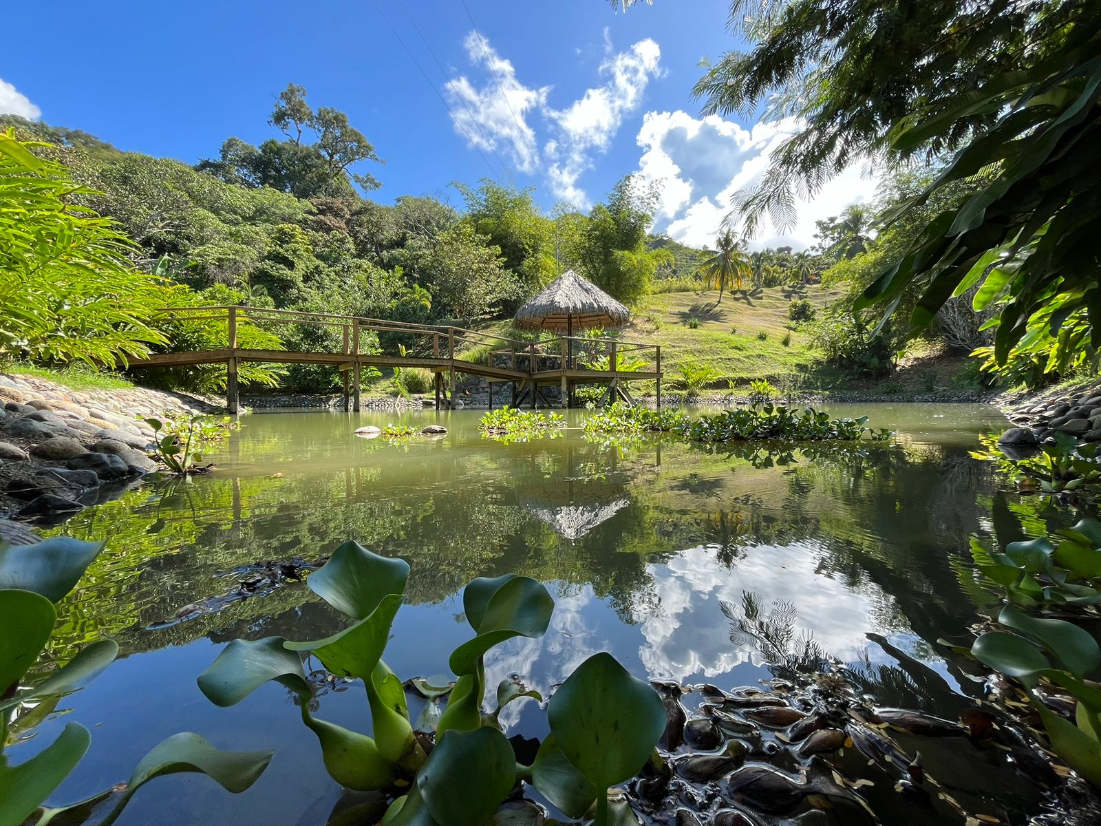 Cinematic Ocean&Mountain View Property In Vista Dominical Estate, Minutes From The Beach!