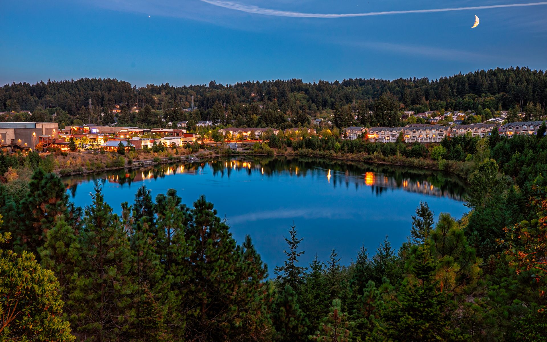 Place Portland Team - Windermere Realty Trust