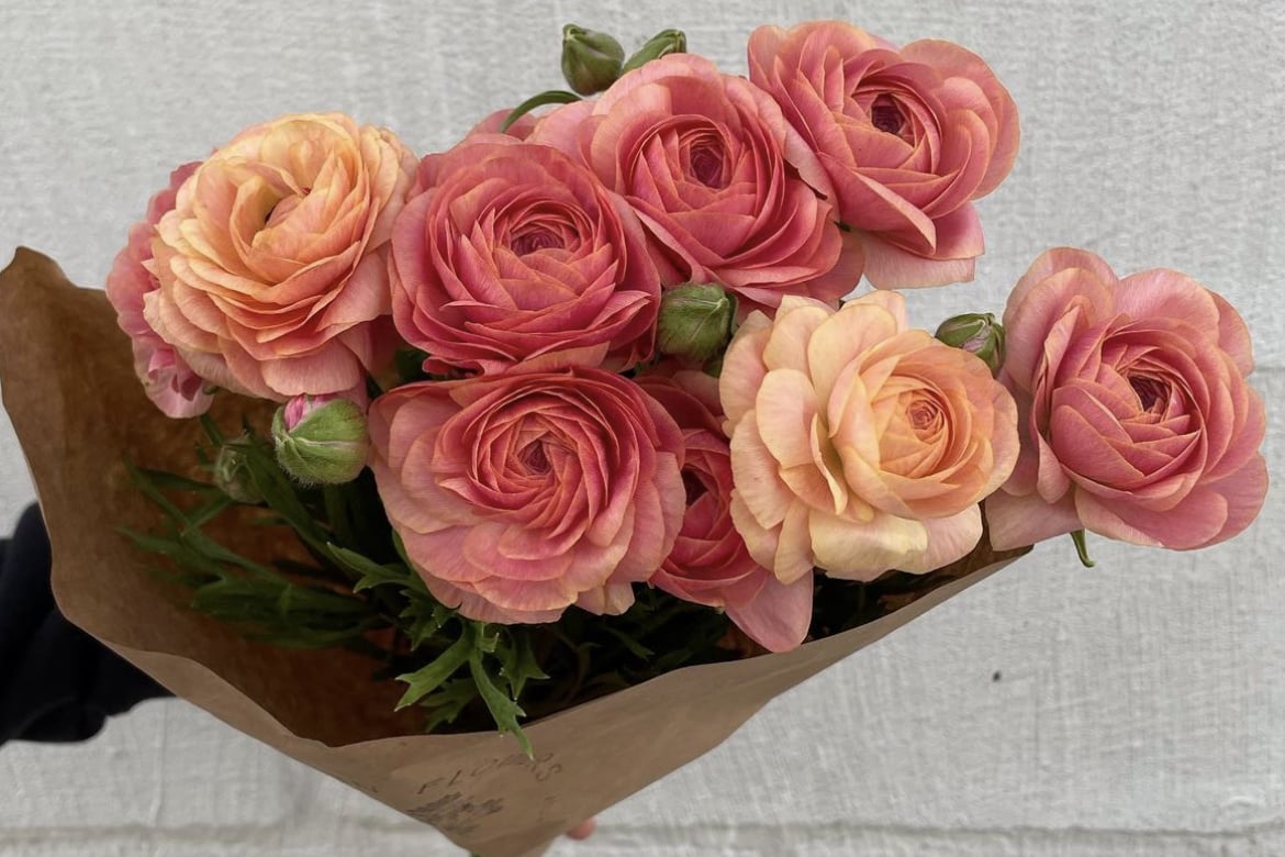 Enchanted Rock State Natural Area