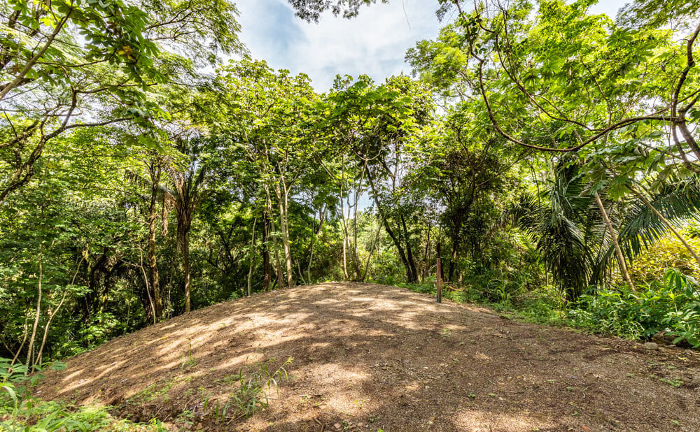Wooded Jungle Building Lots, Nosara, Guanacaste