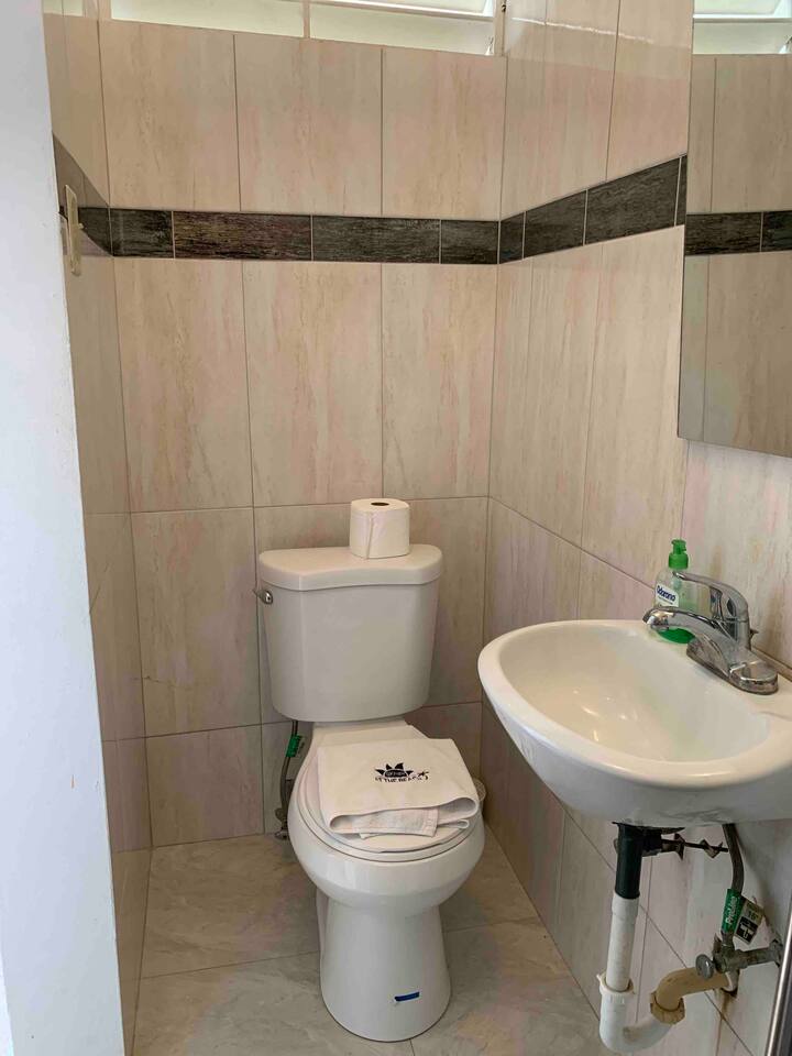 Beach House Apt 9 • 1BR + Sofa Bed • Full Kitchen - Airbnb