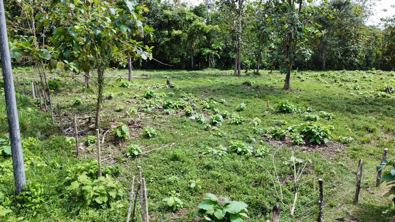 Off the grid property | Located in a privileged area, surrounded by natural beauty