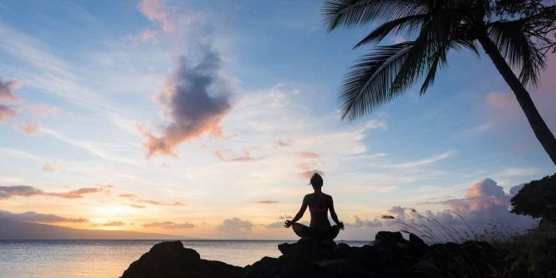 Person meditating on shoreline rocks at sunset beside a palm tree, facing the ocean.