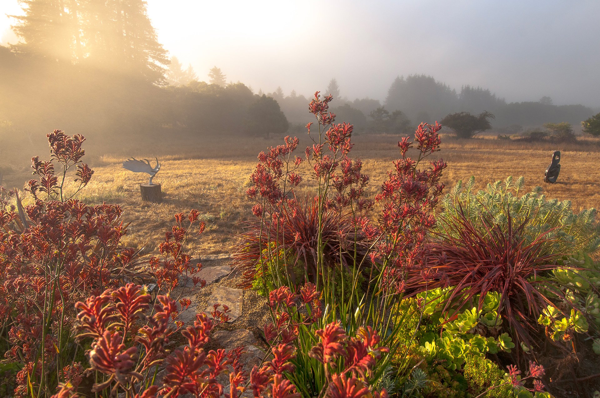 Rancho Refugio - A Place of Refuge