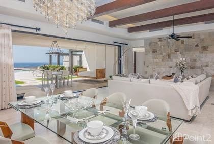 The Ever Appreciating Market of Cabo