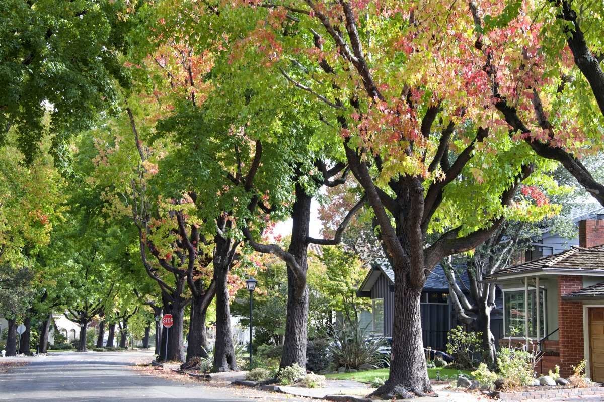 Alameda