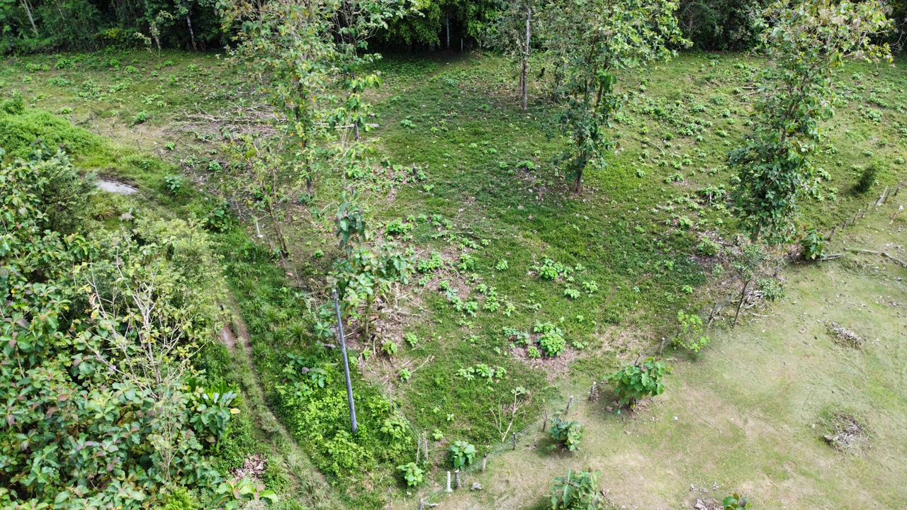 Off the grid property | Located in a privileged area, surrounded by natural beauty