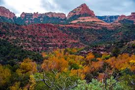 FALL in Northern Arizona