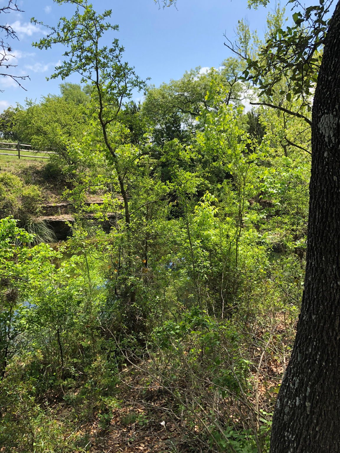 100 Dario Dr. Dripping Springs  Tx 78620