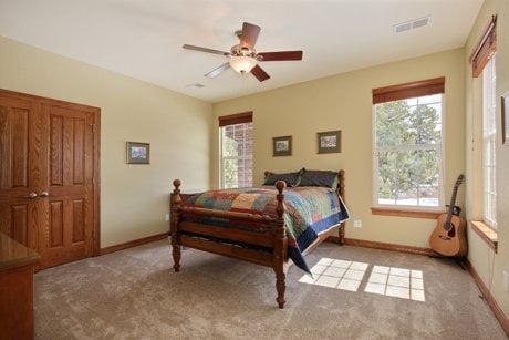 11258 Bell Cross Circle, Parker