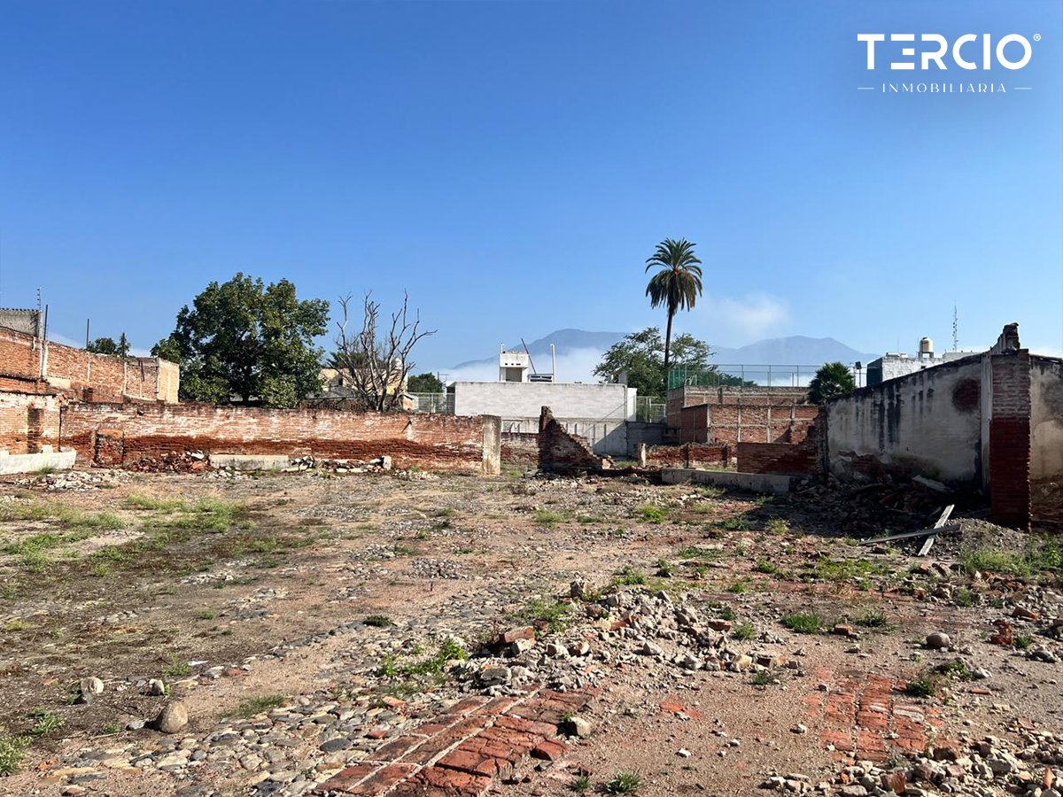 Propiedad en Renta uso de suelo Mixto Ameca $60,000.00 MN