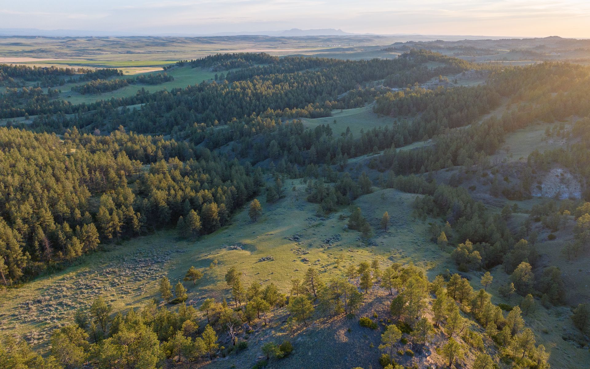 Elk Rich Ranch