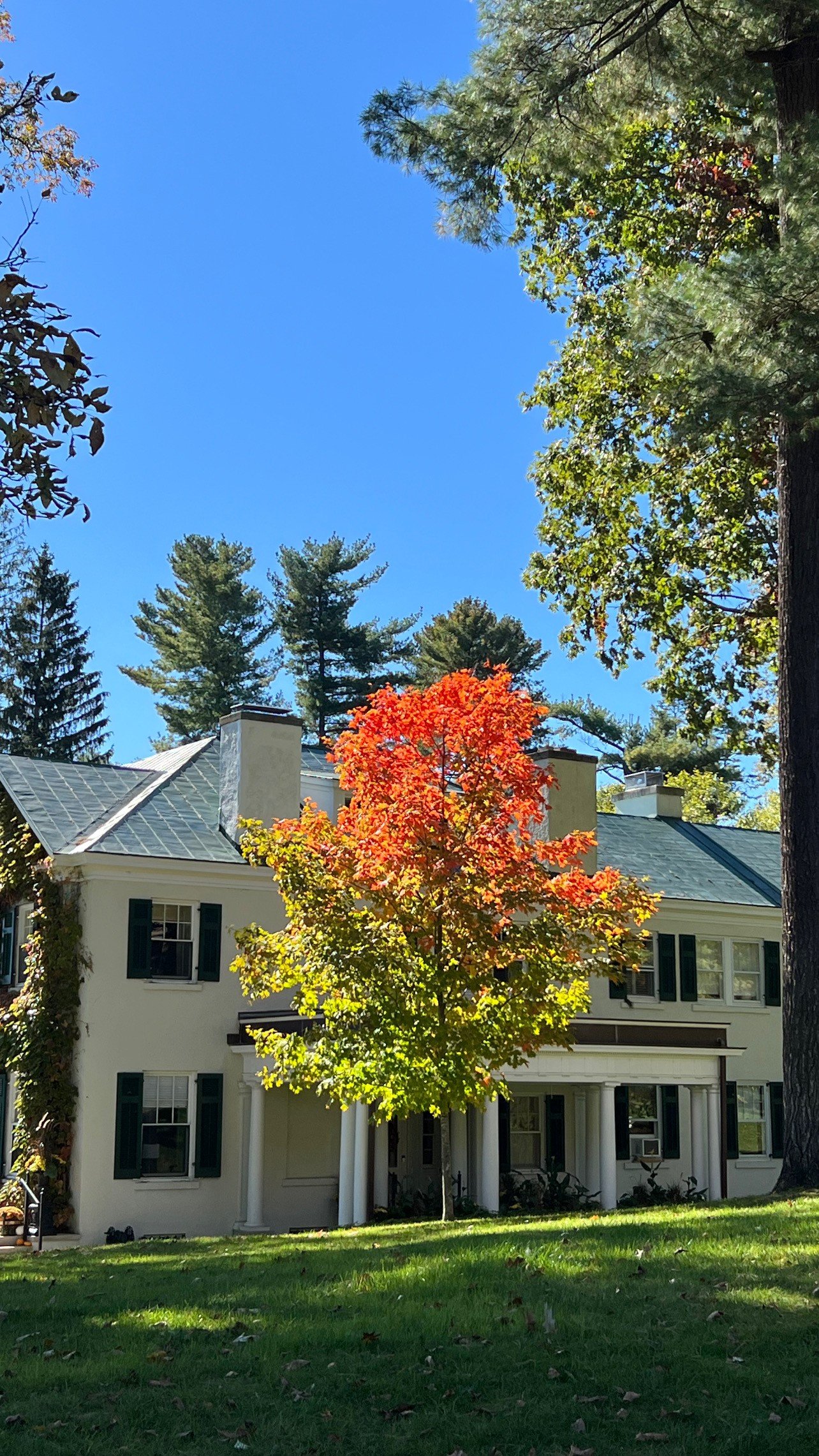 White two-story house with dark shutters, framed by a vivid red-orange autumn tree.