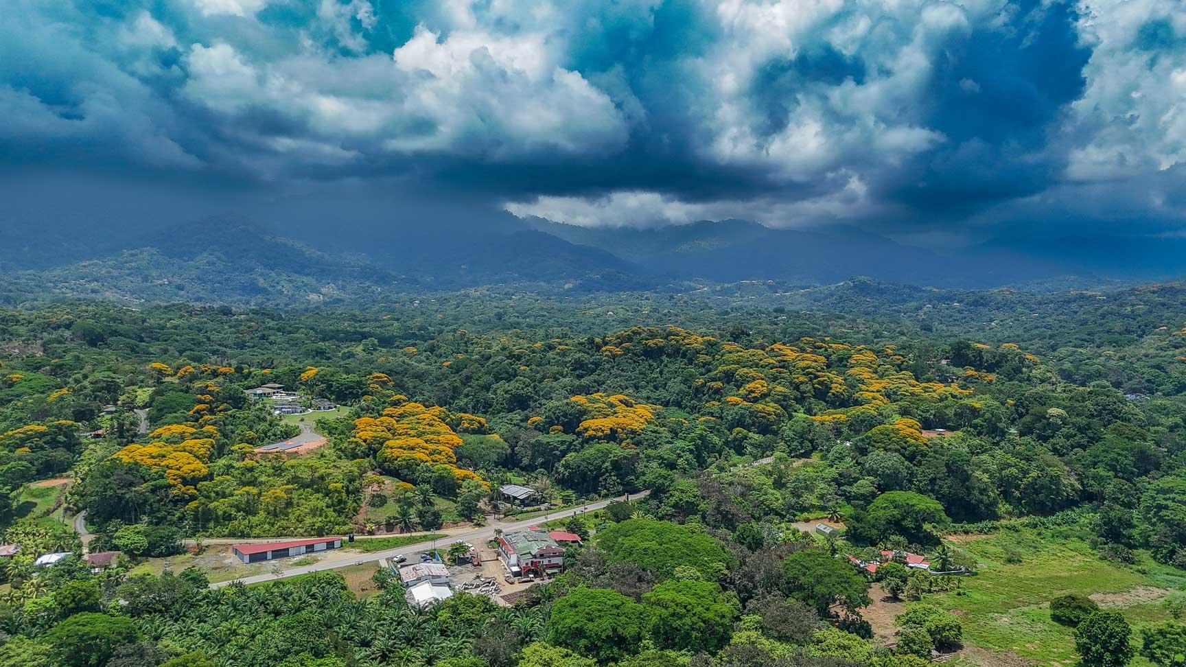 23-Acre Prime Highway Frontage Lot Near Ojochal & Ocean