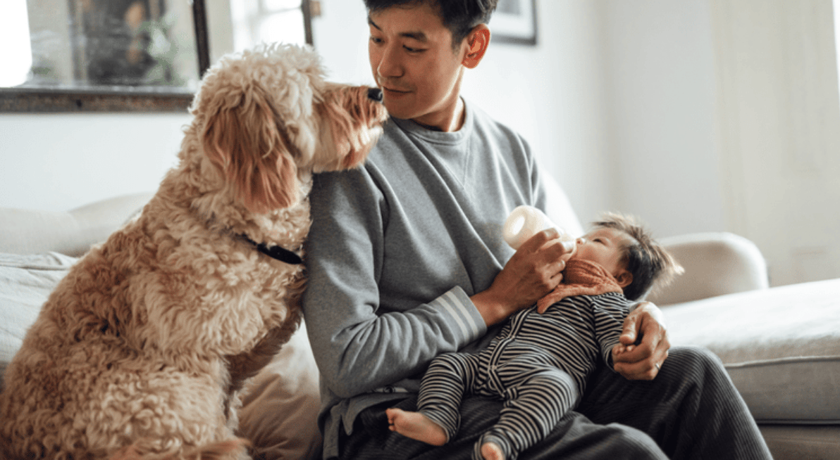 A man feeds a baby on a sofa as their curly-haired dog leans in.