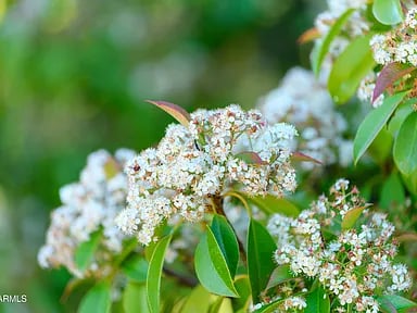 2272 ROADRUNNER Road, Sedona