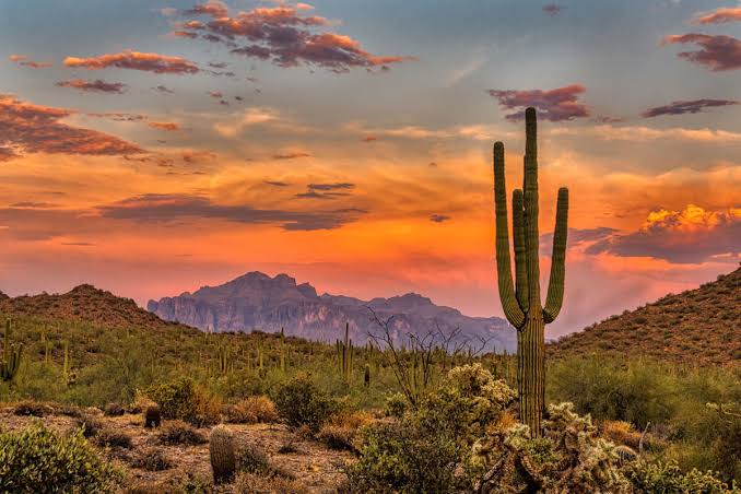 Arizona Summers Are Misunderstood ☀️🌵