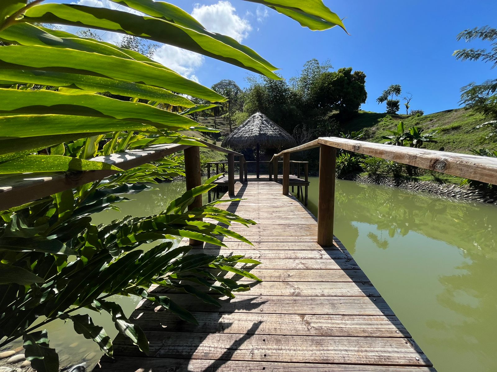 Cinematic Ocean&Mountain View Property In Vista Dominical Estate, Minutes From The Beach!