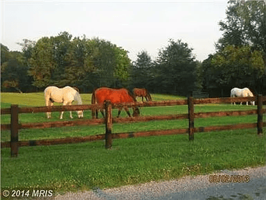 36510 Stone Manor Ln