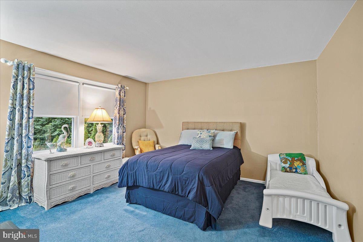 11 Canvasback Rd