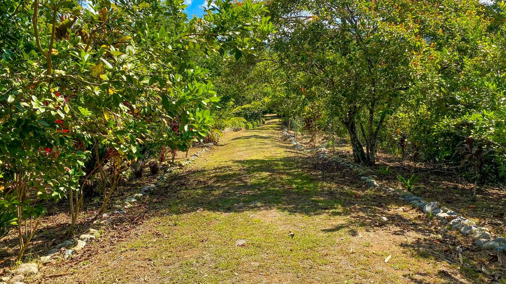32-Acre Self-Sustainable Off-Grid Farm Near Ojochal with House, Solar Power & River