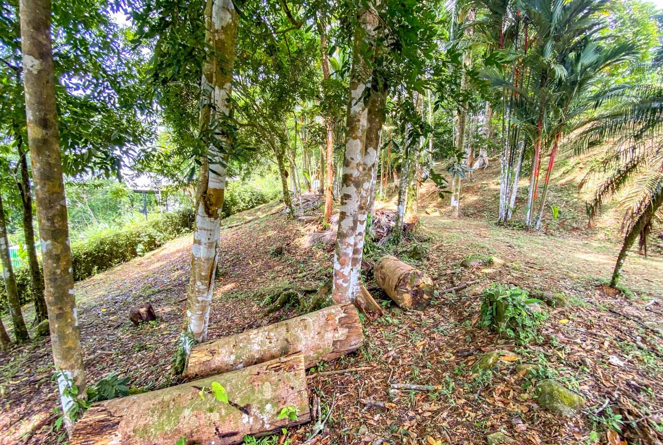 Large Uvita Lot With Whale’s Tail Ocean Views, Sunsets & Legal Water – Ready to Build!
