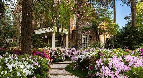 House framed by flowering shrubs and mature trees, with a stone path leading to the entrance.