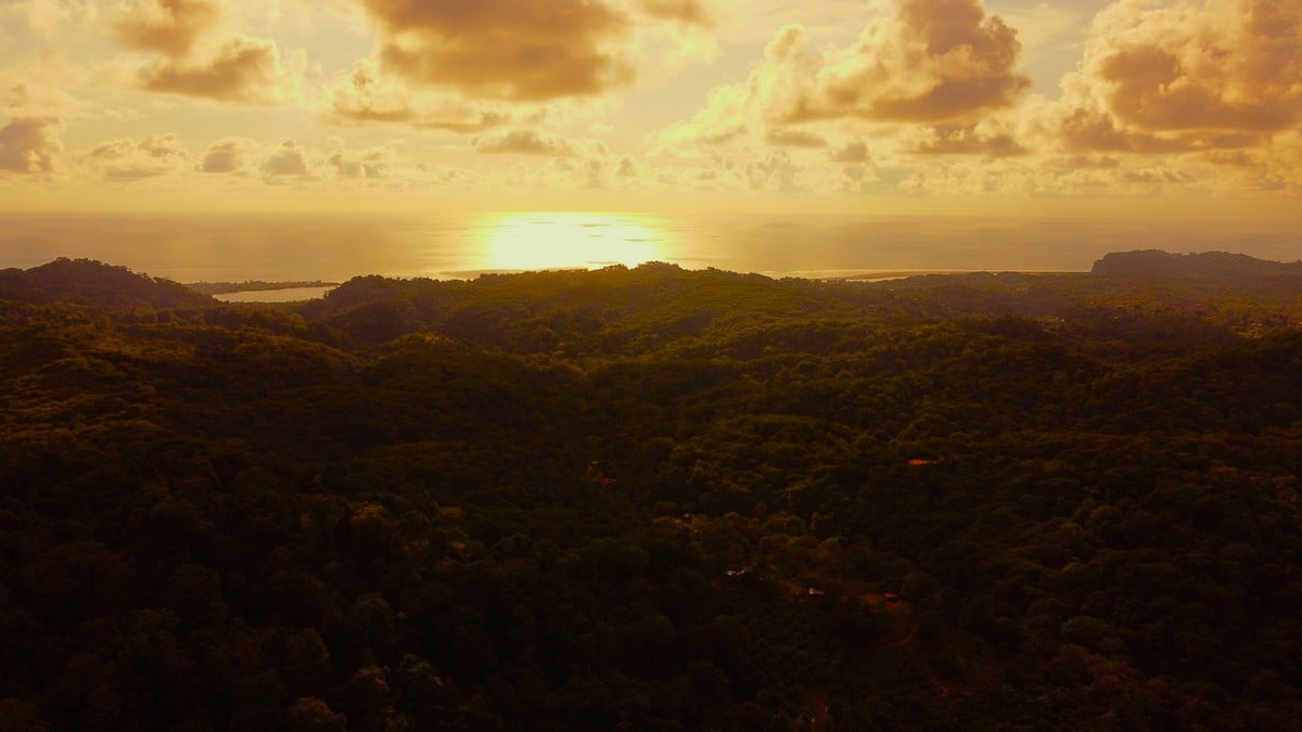 1.8 ACRES – 4 Bedroom Panoramic Ocean & Mountain View Paradise Home Tucked Away in Complete Privacy With Tropical Gardens & Fruit Trees!!!