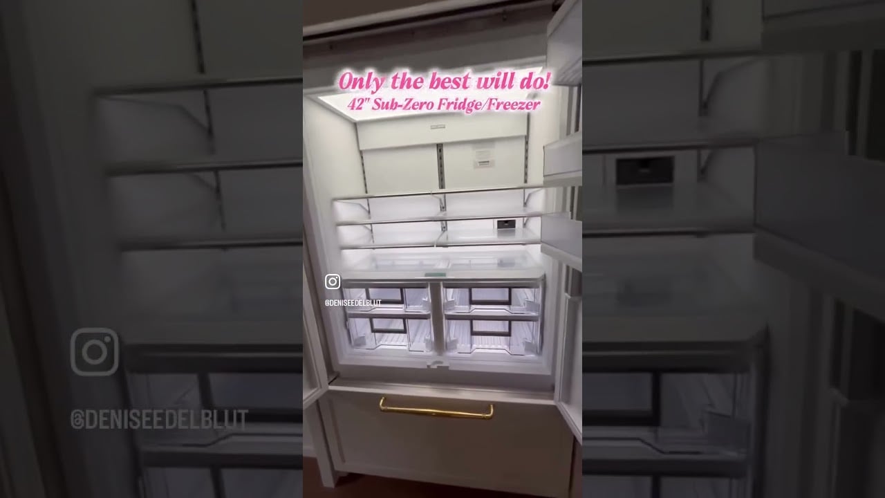 42" Sub-Zero Fridge/Freezer at 100 W Bridge St!