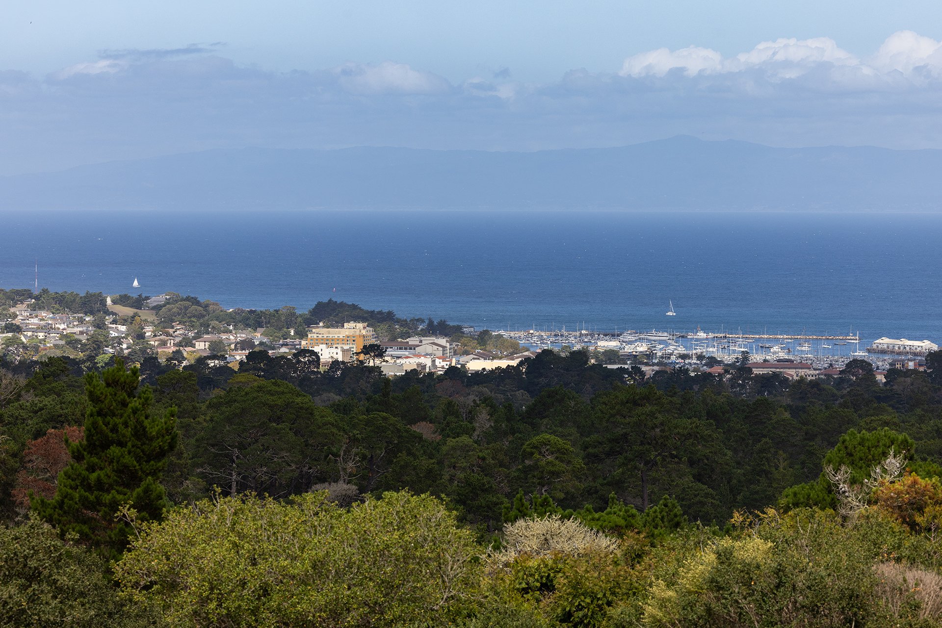 Carmel Bayview Retreat - 571 Viejo Rd