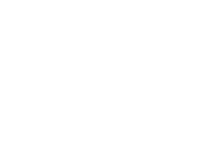 logo {{@index}}