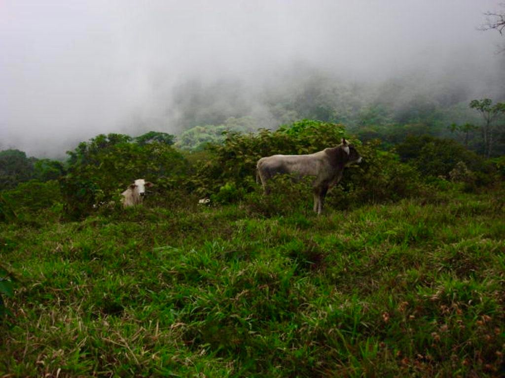 Los Cerritos Farm – 6.4 Acres of Ocean & Mountain Serenity
