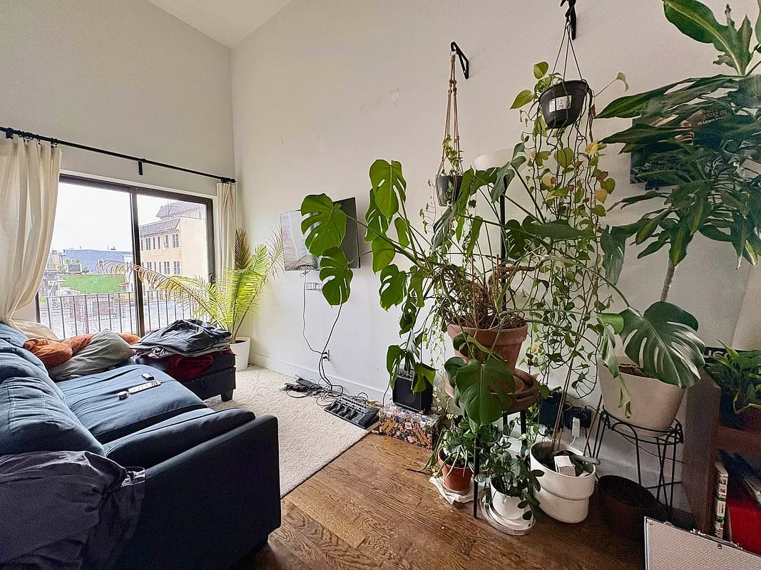 287 Harman St 3L