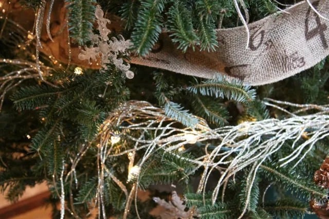 Millspaugh – Thompson Christmas