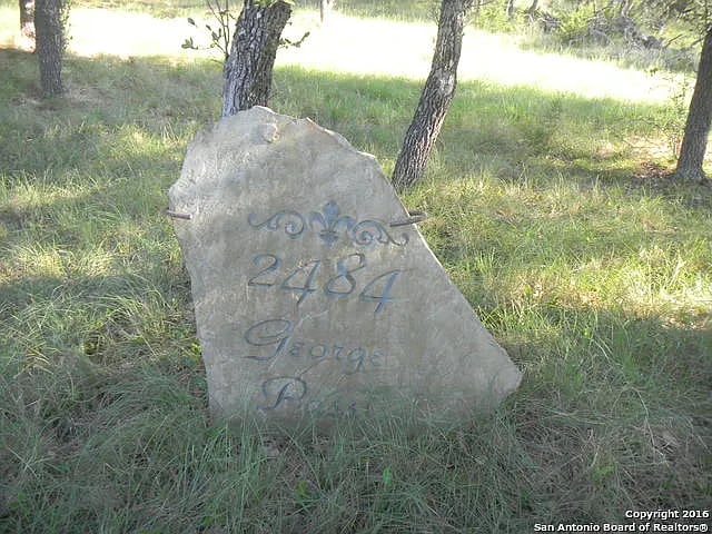 2484 George Pass