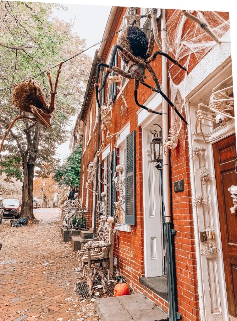 Exploring the Charm of Old Town Alexandria This Fall