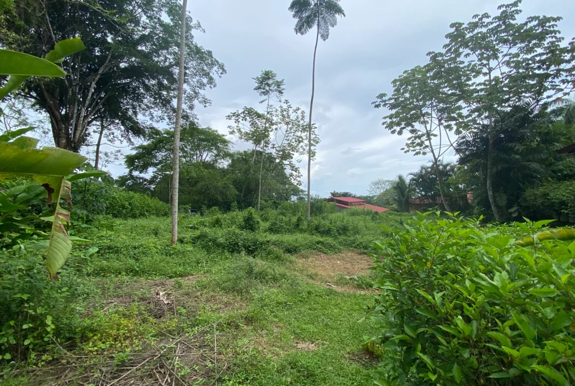 Residential Lot for Sale in Ojochal – Condo Tortuga | Gated Community, Creek Access & Nature Reserve